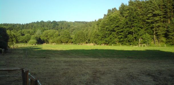 DSC00148