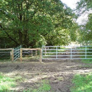 DSC00297