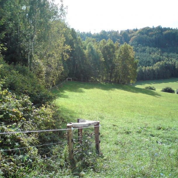 DSC00315