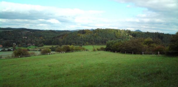 DSC00324