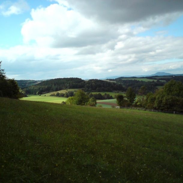 DSC00325
