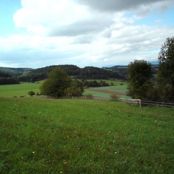 DSC00326