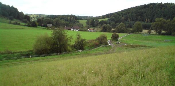 DSC00343