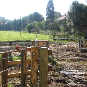 IMG 0748