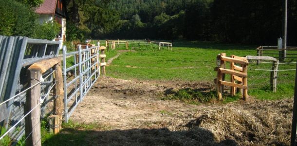 IMG 0759