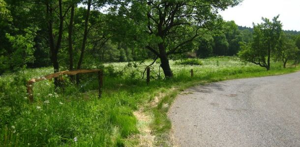 IMG 7463