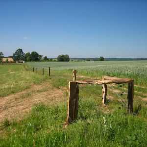 IMG 7608