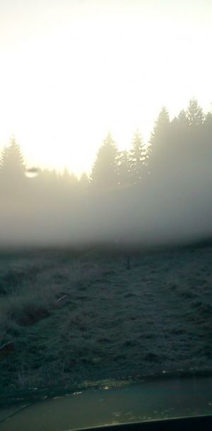 DSC00100