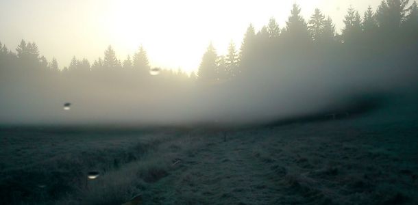 DSC00100