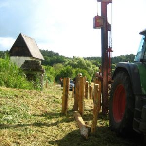 IMG 7805