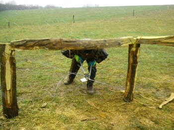 17. Výzkumný ústav žv. Uhřiněves - ohrady v Netlukách a Královicích