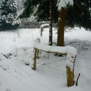 DSC00158