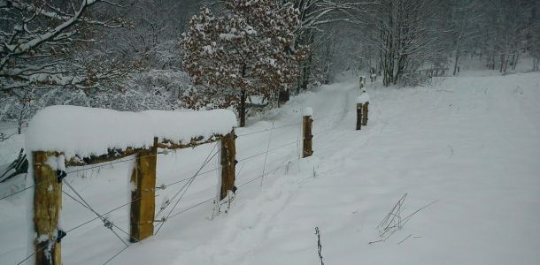 DSC00168