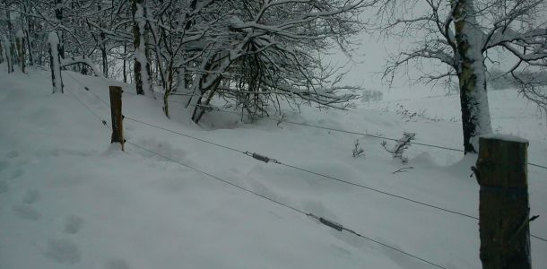DSC00178