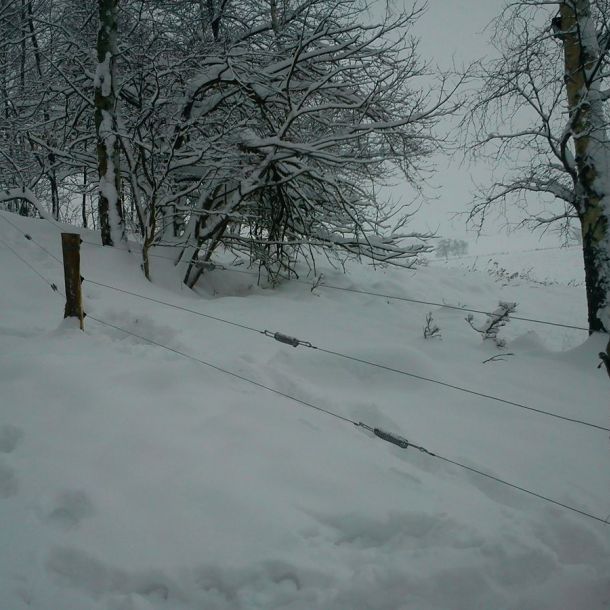 DSC00178