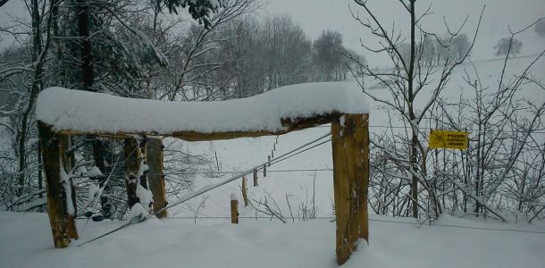 DSC00186