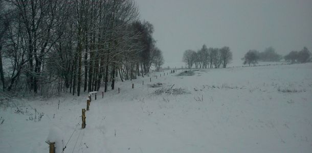 DSC00193