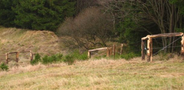 IMG 0902