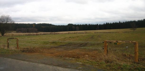 IMG 0921