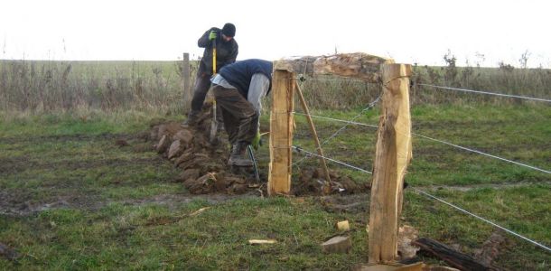 IMG 1045