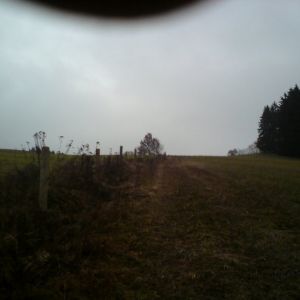 DSC00008
