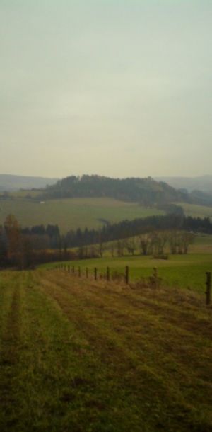 DSC00012