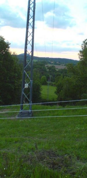 DSC00286
