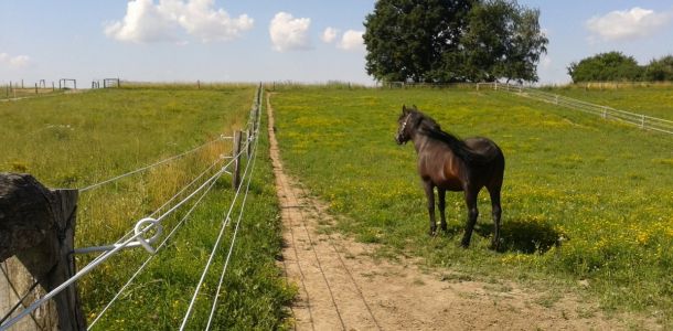 Fotografie 0031