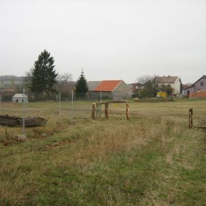 IMG 6552