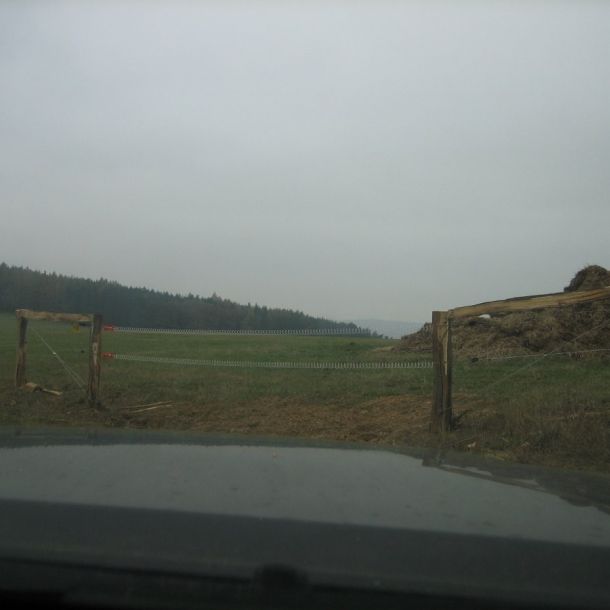 IMG 6575