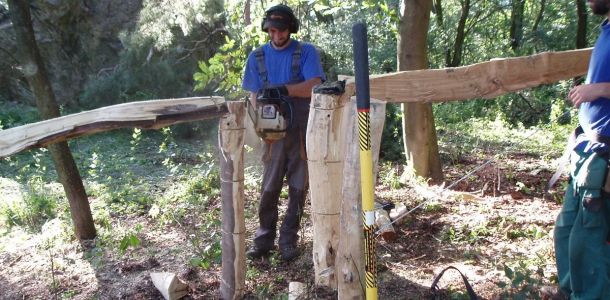 Ohrady 2009 Dub   047