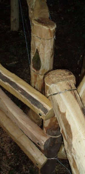 Ohrady 2009 Dub   062