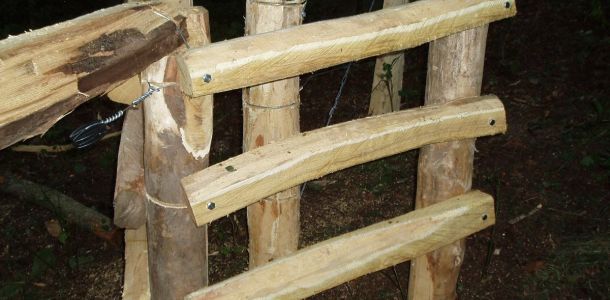 Ohrady 2009 Dub   063