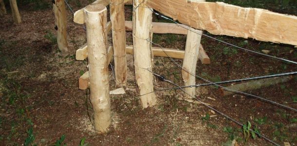 Ohrady 2009 Dub   066