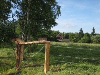 Ploužnice nedaleko Mimoně