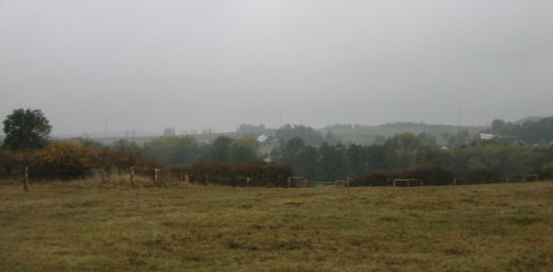 IMG 6535