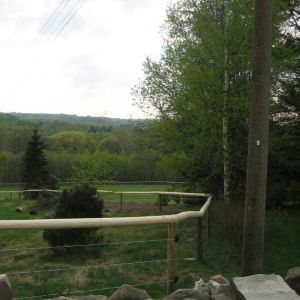 IMG 5736