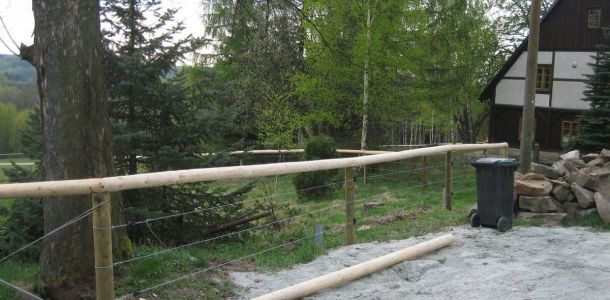 IMG 5737