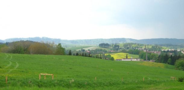 IMG 3748