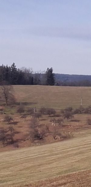 20170326 092717