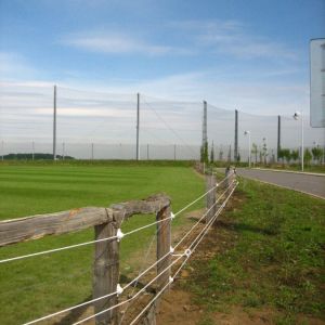 IMG 0706