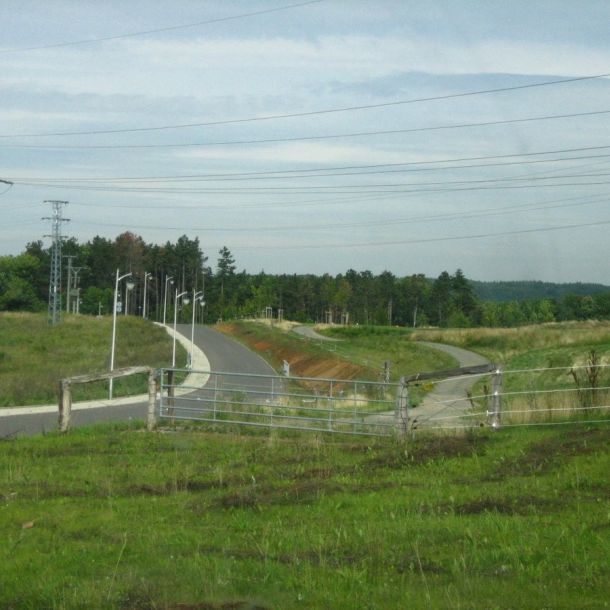 IMG 0710