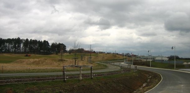 IMG 6875