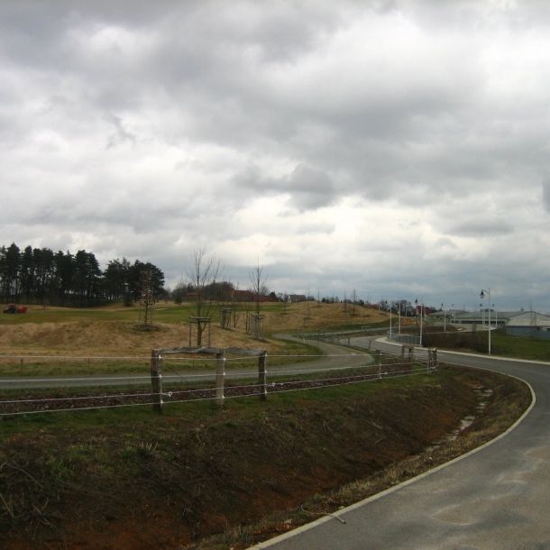 IMG 6875
