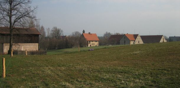 IMG 1003