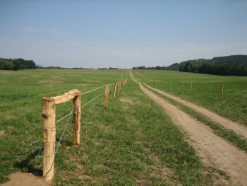 Dubová hora 2007