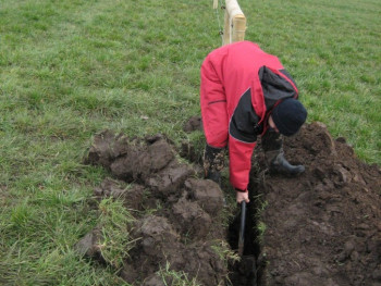 Oseva Chrudim - farma Kočí 2007