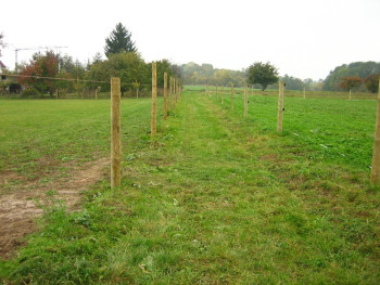 Jízdárna Paceřice 2007