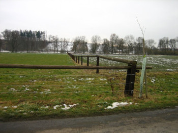 Oplocení kolem Bučického Mlýny 2007