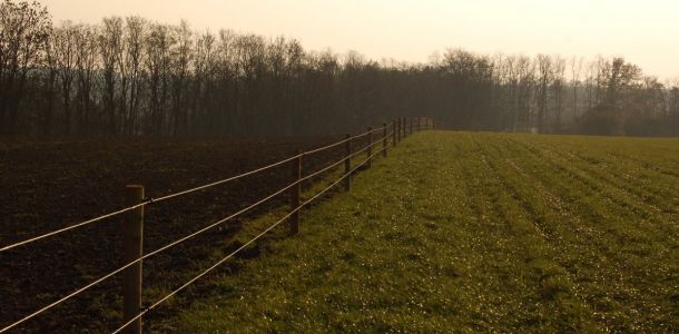 2. T      ad   oplocen  . 